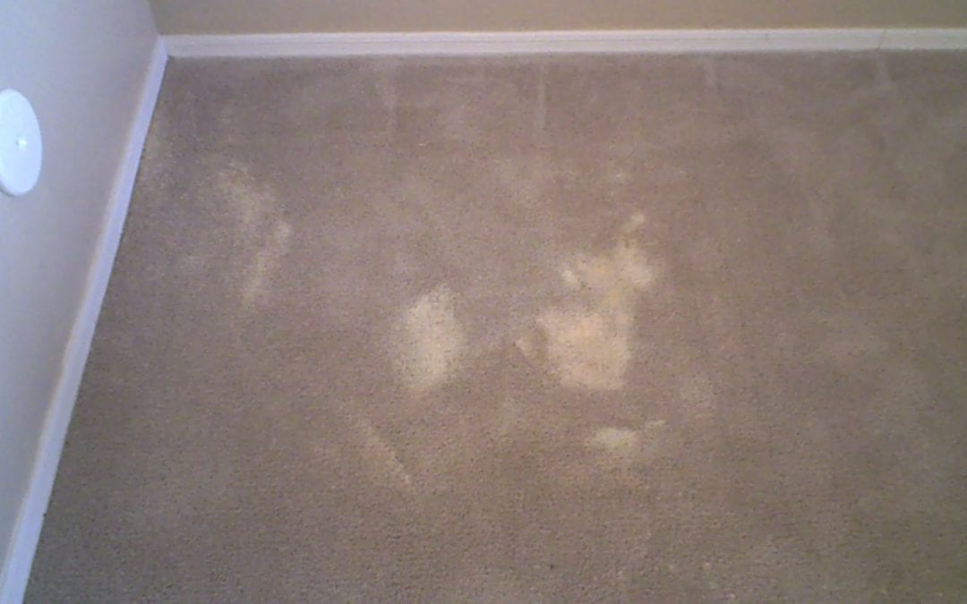 Scottsdale Bleach Stain Carpet Repair