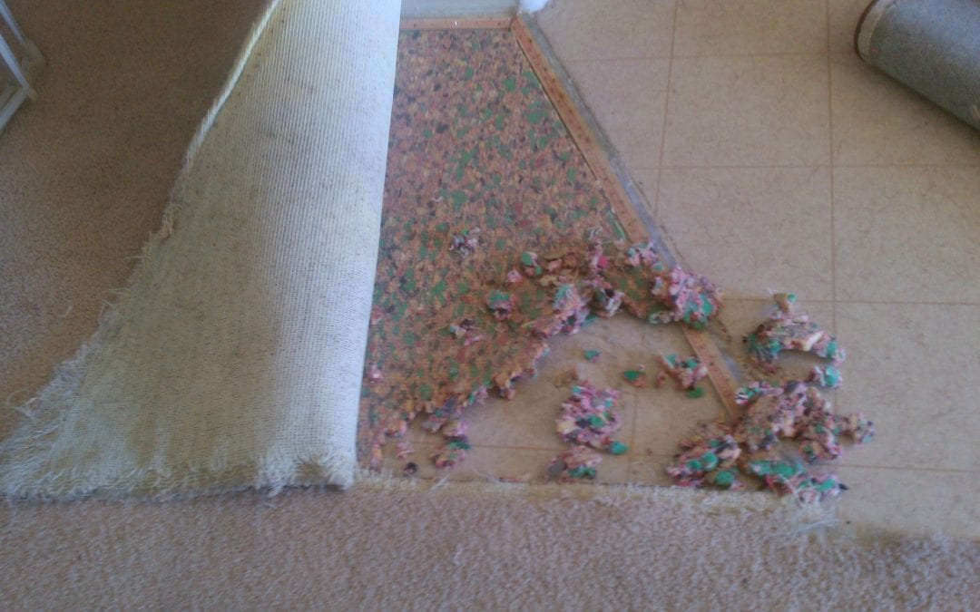 Scottsdale Carpet Repair Work