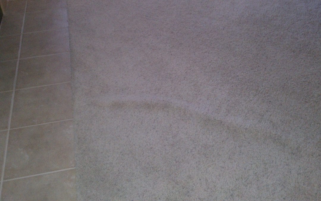 Scottsdale Carpet Wave Repair