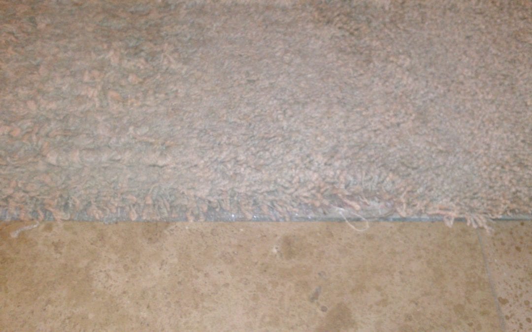 Scottsdale Carpet Damage at Tile Work