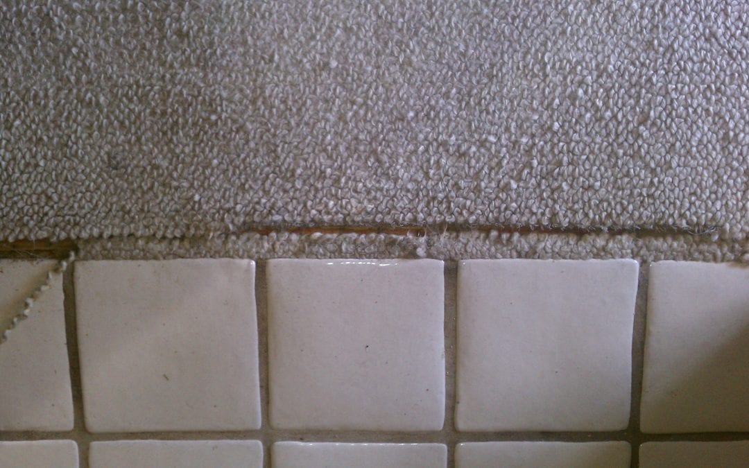Scottsdale Berber Carpet Tile to Carpet Repair