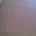 Pet Damaged Carpet in a Doorway Results