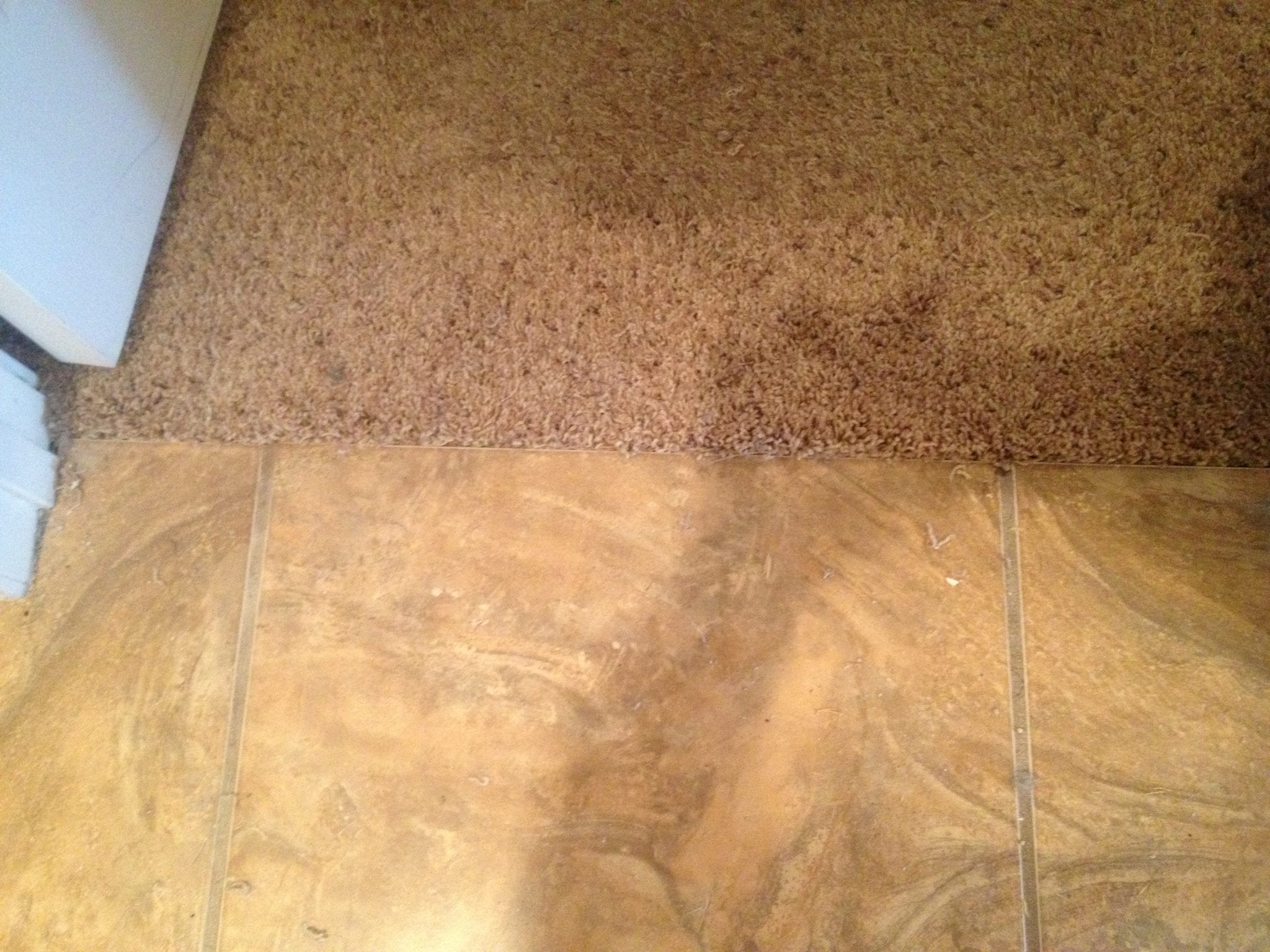Scottsdale Pet Damaged Carpet Repair in a Doorway Results