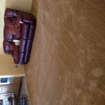 Carpet Cleaning in Scottsdale (1)