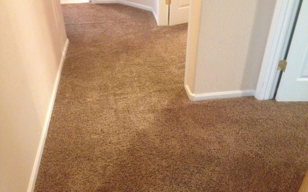 Carpet Stretching in Scottsdale