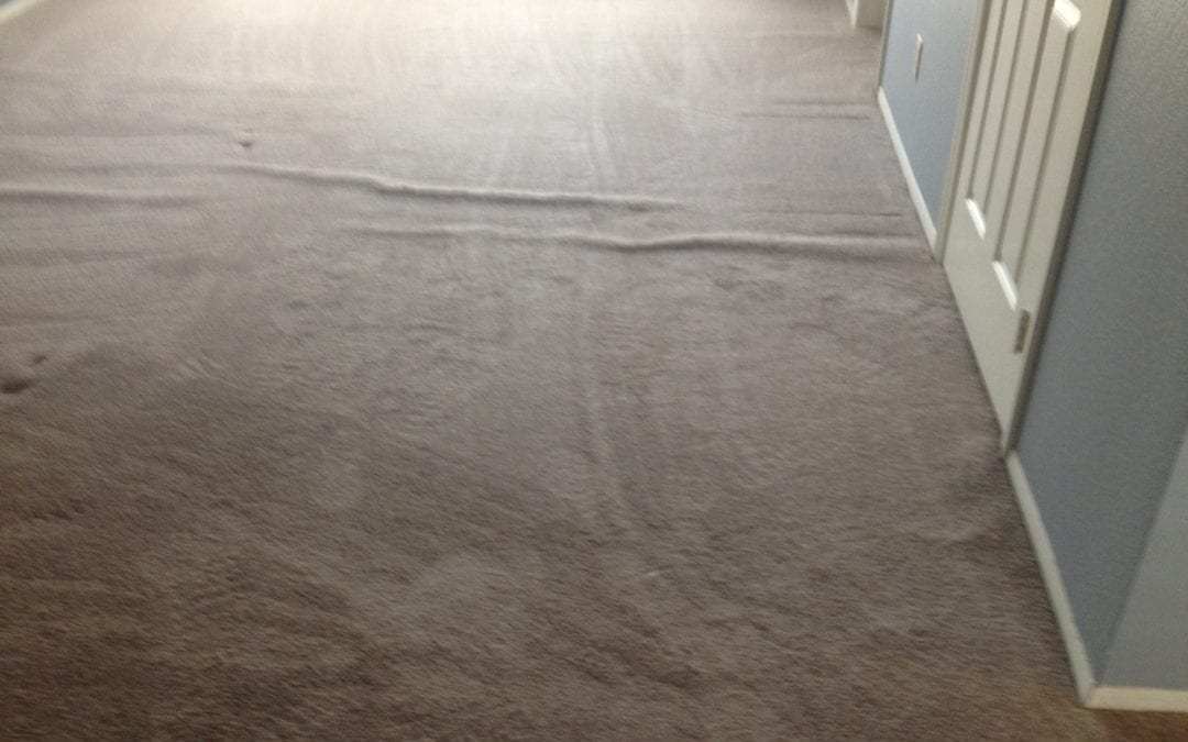 Carpet fixed in Scottsdale