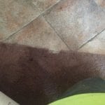 Glendale Carpet Cleaning (2)