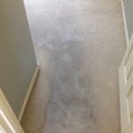 Glendale Carpet Cleaning (3)