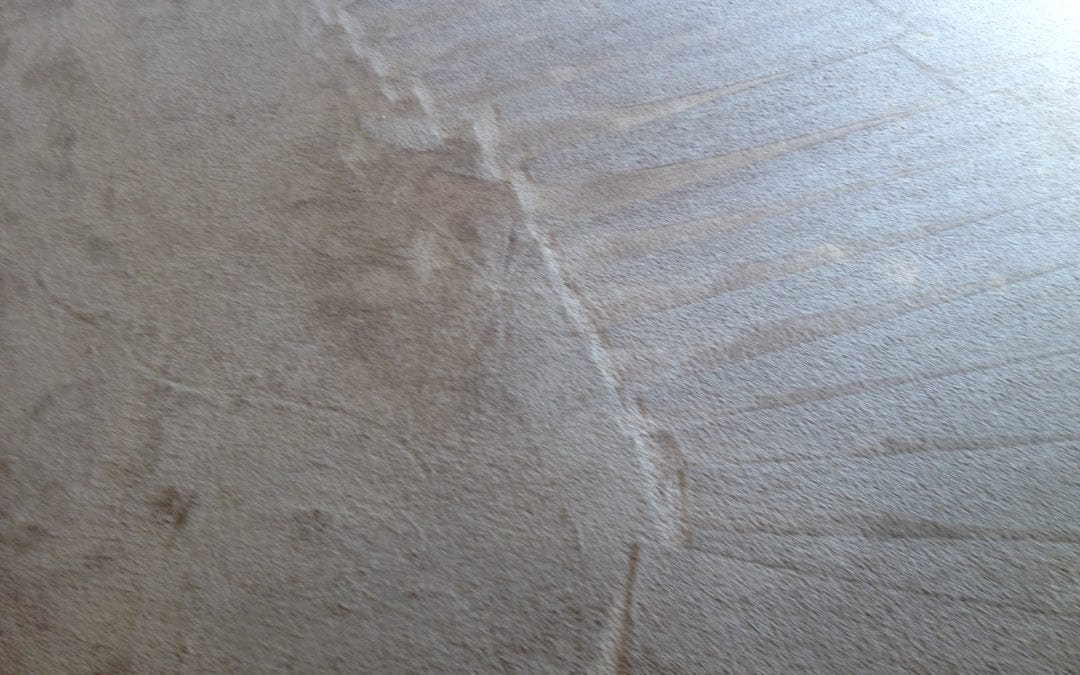 Carpet repair and carpet cleaning company in Scottsdale, AZ