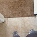 Litchfield Carpet cleaning (4)
