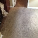 Scottsdale Carpet Cleaning