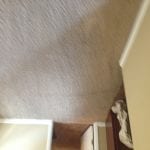 Scottsdale Carpet Cleaning (2)