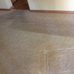 scottsdale cleaning and reapair (1)