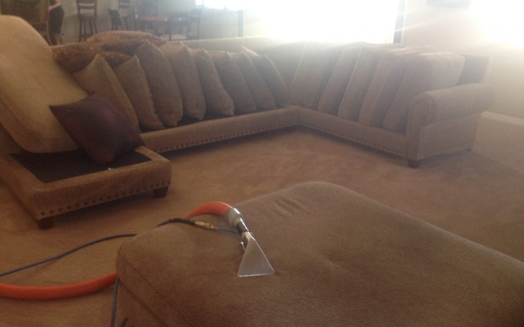 Carpet Cleaning and Upholstery Cleaning in Scottsdale, AZ!
