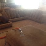 Laveen Upholstery Cleaning (3)
