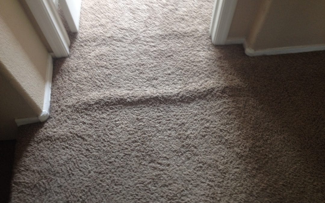 Dirty Bumpy Carpets That Need Stretched and Cleaned  Scottsdale AZ