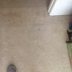 Buckeye Carpet Repair (4)