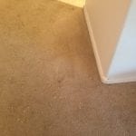 carpet repair scottsdale (2)