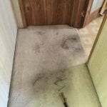 Peoria Carpet cleaning