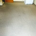 Carpet cleaning in surprise