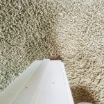 Goodyear Carpet Repair (5)
