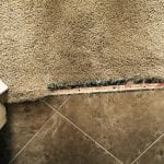 Waddell Carpet Repair
