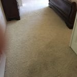 Mesa Carpet Cleaning (4)