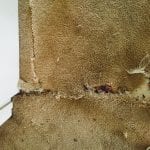 Phoenix Carpet Repair