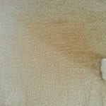 Phoenix Carpet Repair (2)
