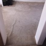 Phoenix Carpet Stretching & Cleaning (2)