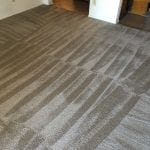 Carpet cleaning Phoenix5