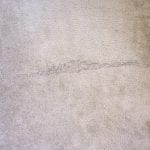 Phoenix Carpet Repair (2)