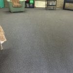 Scottsdale Carpet Cleaning (2)