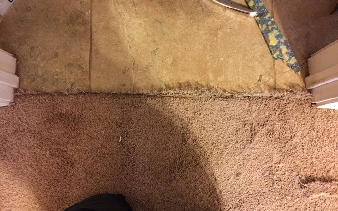 Scottsdale Carpet Repair