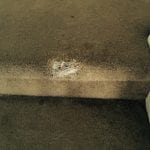 Avondale Carpet Repair (4)