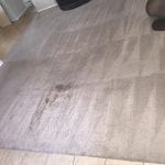 Carpet cleaning in phoenix (2)