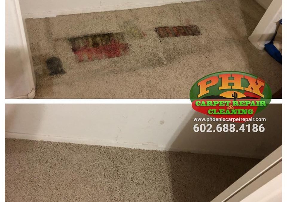 Scottsdale, AZ: Carpet Repair