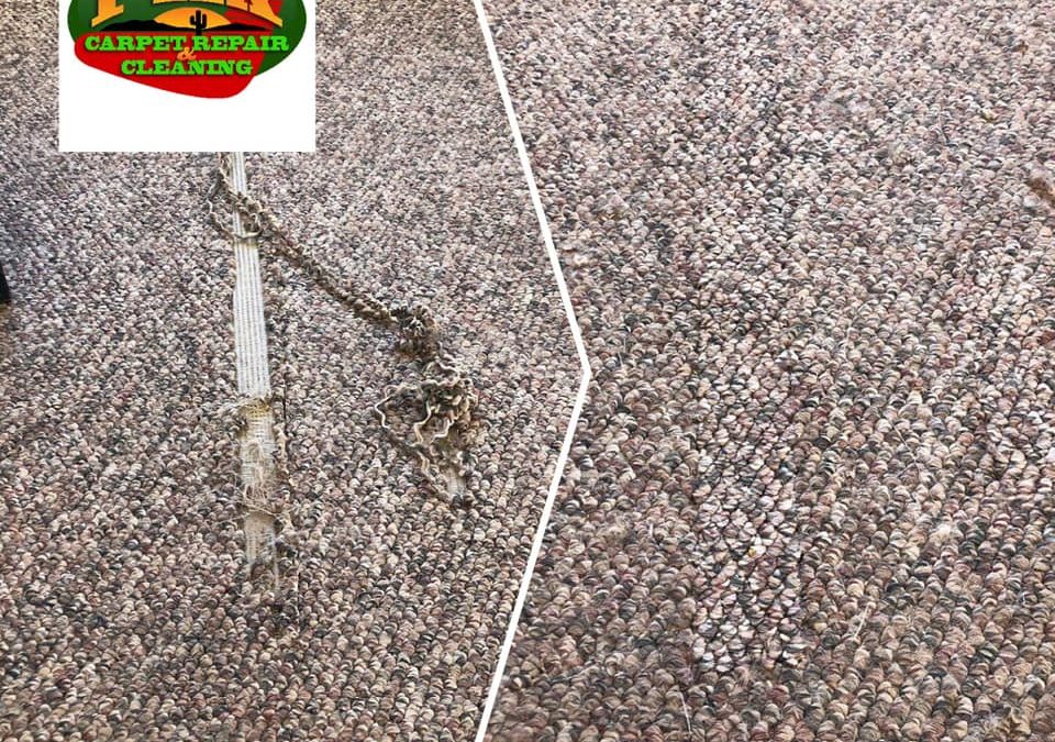 Scottsdale, AZ: Berber Carpet Repair