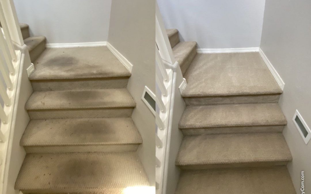 Stairway to Clean: Tackling Heavily Soiled Stairs