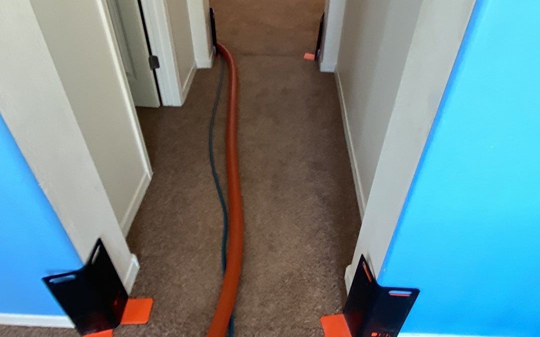 Preserving Walls and Impressions: The Corner Guard Advantage in Carpet Cleaning