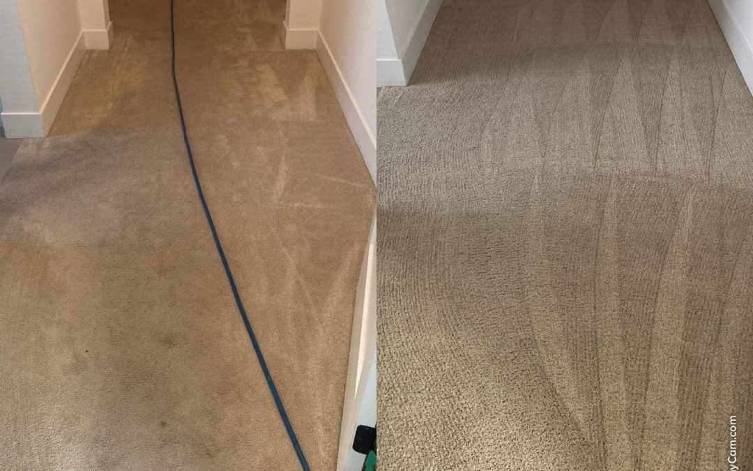 Revitalize Your Home with Professional Carpet Cleaning
