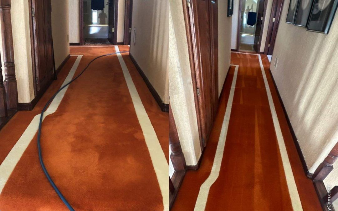 Revitalize Your Carpets with Scottsdale Carpet Repair and Cleaning