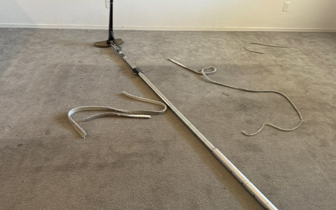 Restore Your Carpets with Expert Carpet Stretching from Scottsdale Carpet Repair & Cleaning