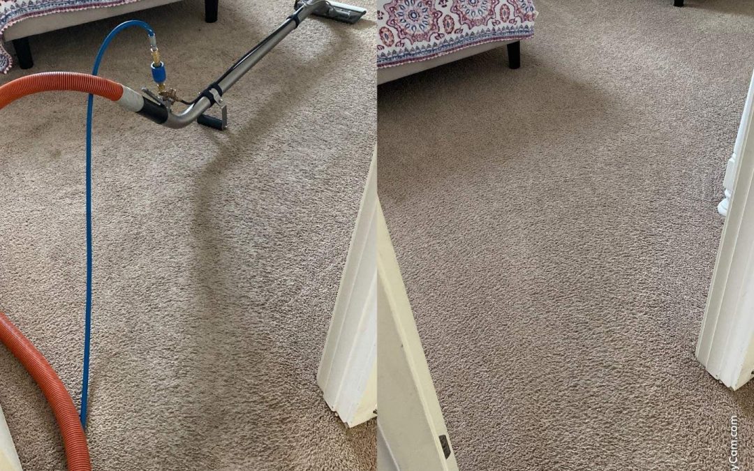 Experience a Cleaner Home with Scottsdale Carpet Repair & Cleaning