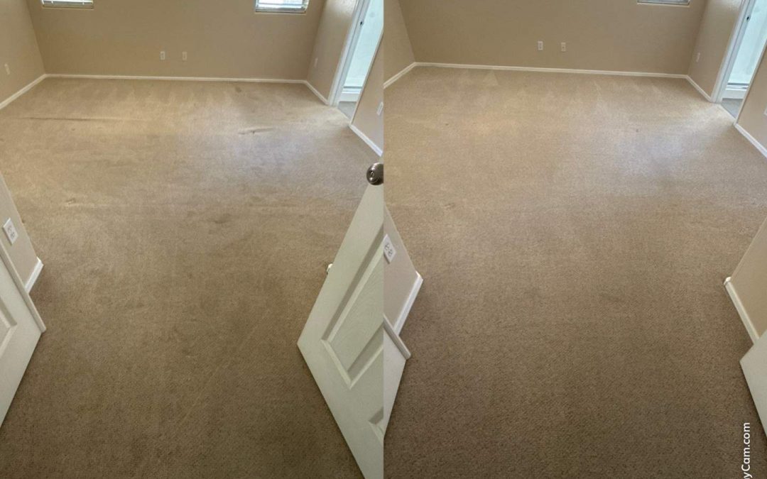 Carpet Stretching & Cleaning—All in One Convenient Appointment