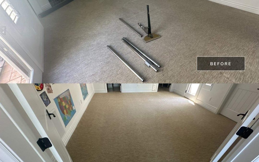 Professional Carpet Stretching in Scottsdale