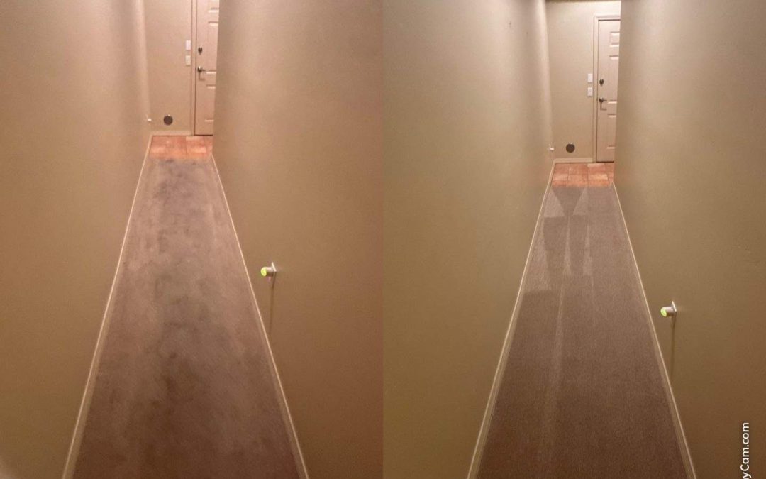 Professional Carpet Cleaning in Scottsdale