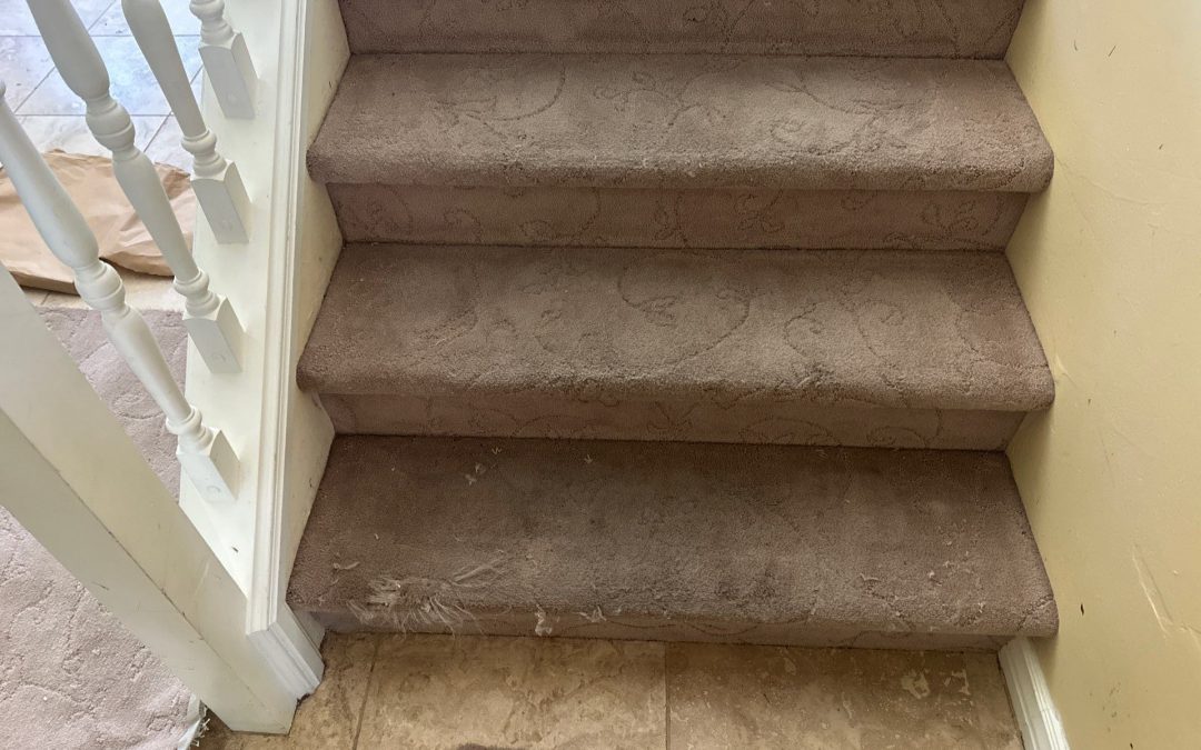 Why Replacing the Entire Step Is the Best Way to Repair Pet Damage